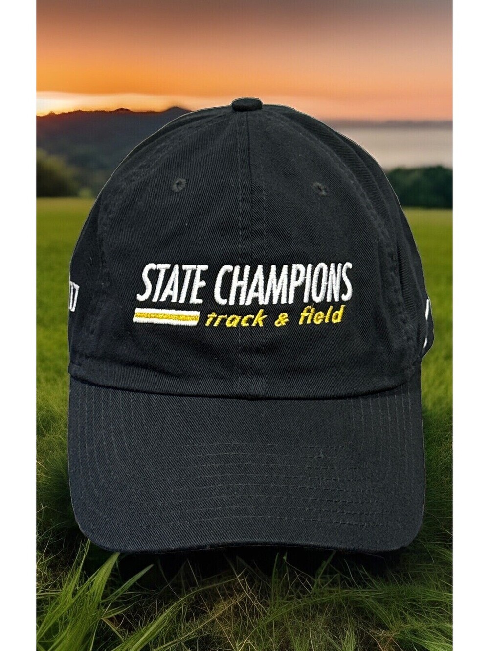 Iowa State Hawkeyes 2017 State Champs Tracks And Field Nike Swoosh Baseball Cap